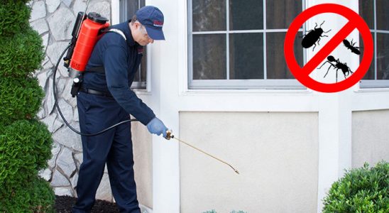Yüksekova Dezenfeksiyon böcek ilaçlama ve haşere kontrolü — ilaclama-tr.com